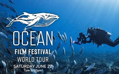 OCEAN FILM FESTIVAL WORLD TOUR 2024