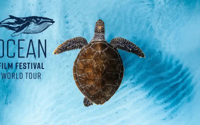 Ocean Film Festival World Tour 2026